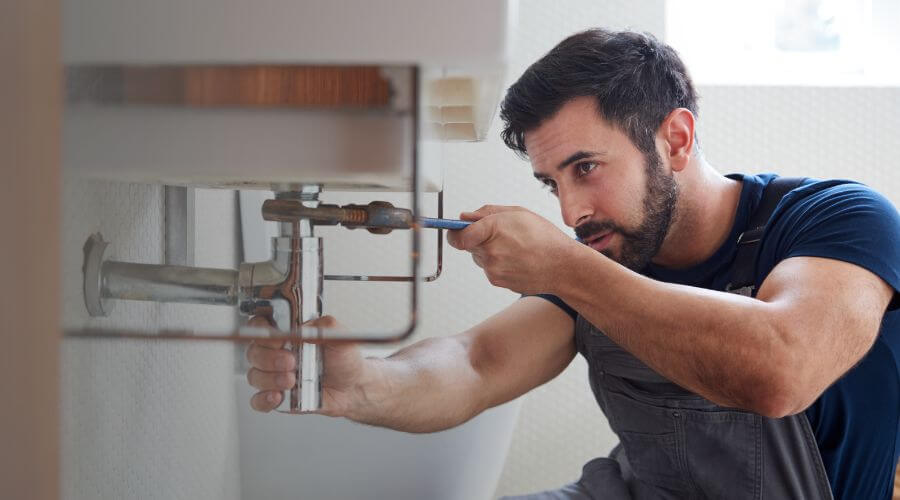 Trap Repair/Replacement in Port Huron, MI